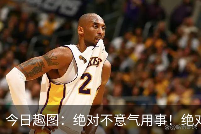 今日趣图：绝对不意气用事！绝对不漏判任何错事！马宁前来晋见